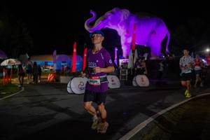 BIB: 
                            <button type="button" onclick="openModal(26552029)" class="btn btn-primary btn-sm float-right btn-popup" data-toggle="modal" data-target=".modal-high-quality">
                        <i class="fas fa-shopping-cart"></i> Add to Cart
                    </button>
                                            <button type="button" onclick="isThisMe(26552029, true)" class="btn btn-success btn-sm float-right btn-popup btn-isme hidden" data-toggle="tooltip" data-placement="bottom" title="นี่คือรูปของคุณใช่ไหม คลิกที่นี่เพื่อเอาเข้าอัลบั้ม">
                        <i class="fas fa-plus"></i> Add to album
                    </button>
                    <button type="button" onclick="isThisMe(26552029, false)" class="btn btn-warning btn-sm float-right btn-popup btn-isnotme hidden">
                        <i class="fas fa-ban"></i> Remove from album
                    </button>